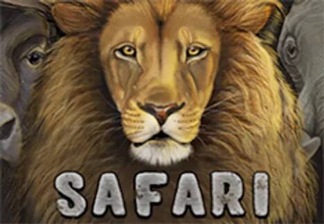 Safari